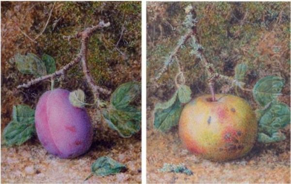 Still Life Of A Plum; Still Life Of An Apple Oil Painting by William B. Hough