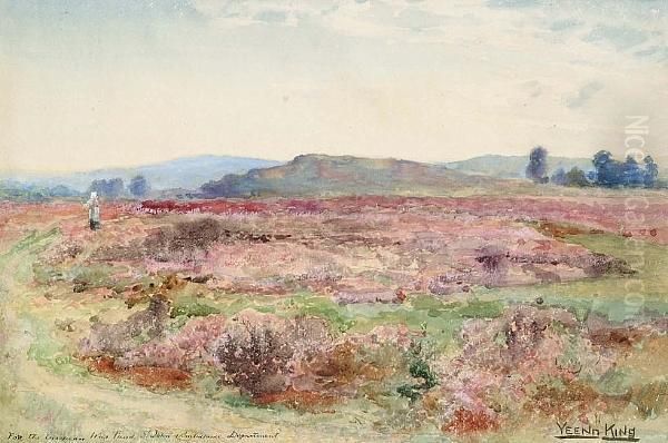 A Field Of Heather Oil Painting by Henry John Yeend King