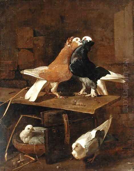 Pigeons Oil Painting by Jacomo (or Victor, Jacobus) Victors