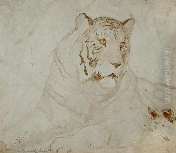 Study Of A Tiger Oil Painting by John Frederick Lewis