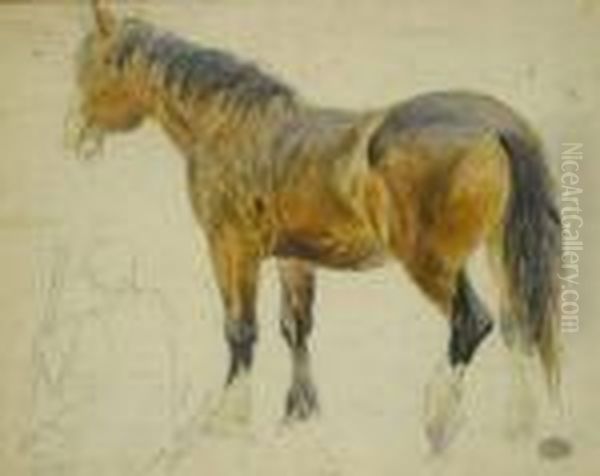 Study Of A Horse Oil Painting by John Frederick Lewis