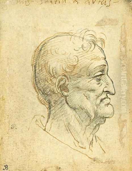 The head of an old man in profile to the right Oil Painting by Leonardo Da Vinci