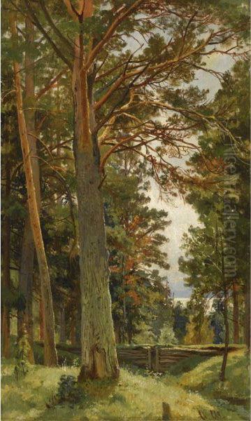 The Clearing Oil Painting by Ivan Shishkin