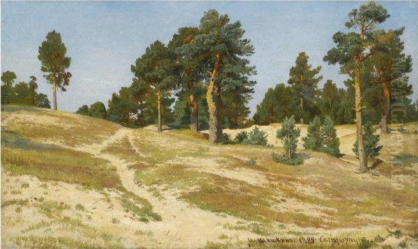 Sestroretsk Oil Painting by Ivan Shishkin