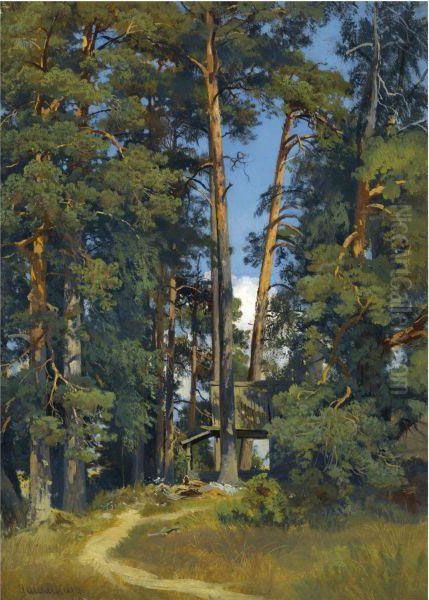 Woodland Grove Oil Painting by Ivan Shishkin