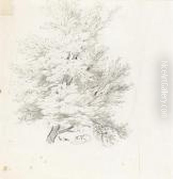 Studies Of Trees; A Double-sided Drawing Oil Painting by Ivan Shishkin