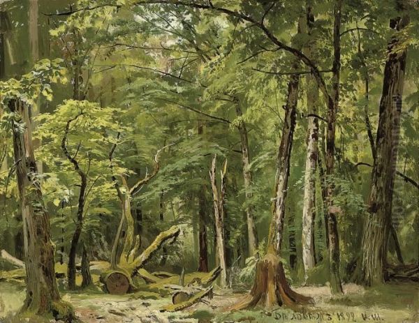 Summer In The Belovezh Forest Oil Painting by Ivan Shishkin