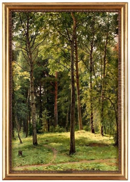 Skogslandskap Oil Painting by Ivan Shishkin