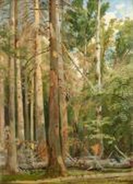 In The Forest Oil Painting by Ivan Shishkin