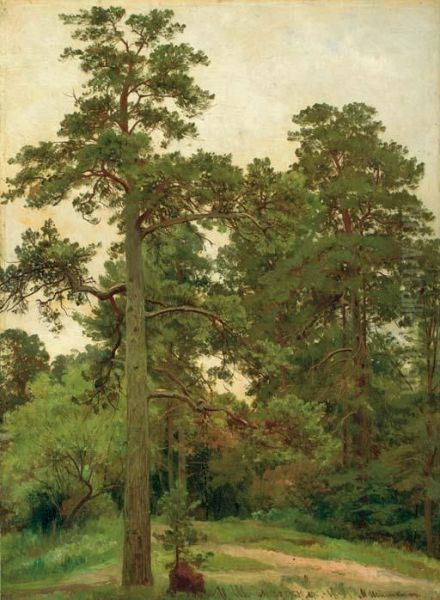 Pine Trees, Merekiul Oil Painting by Ivan Shishkin