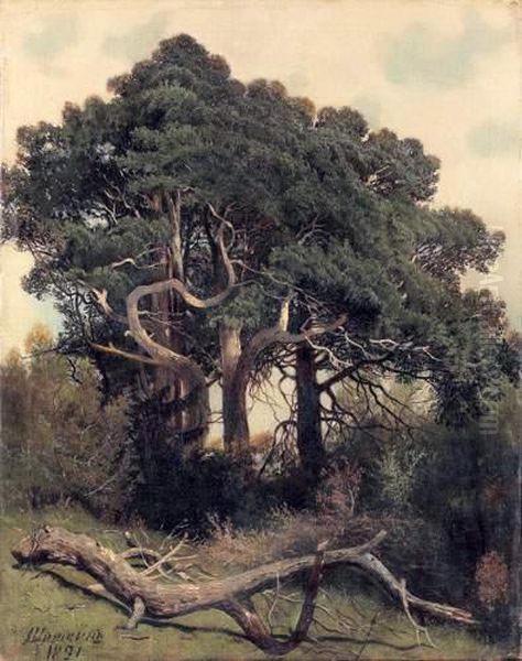 La Foret Oil Painting by Ivan Shishkin