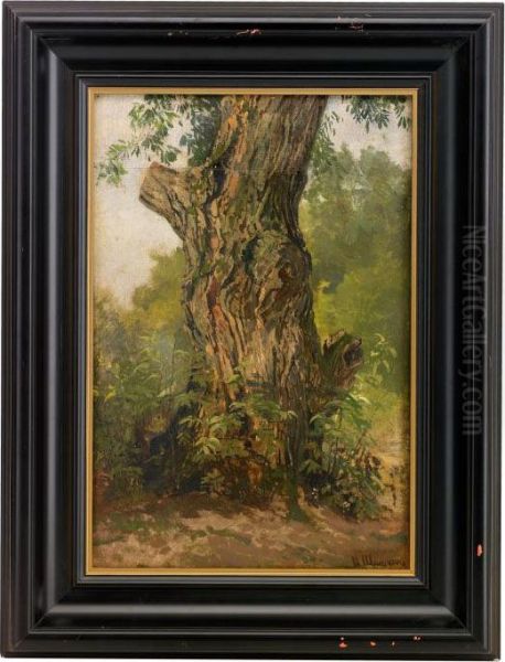 Study Of A Tree Trunk Oil Painting by Ivan Shishkin