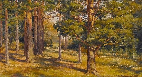 Woodland Study Oil Painting by Ivan Shishkin