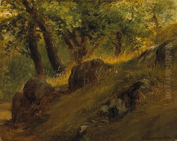 A Study Of A Forest Clearing Oil Painting by Ivan Shishkin