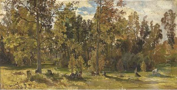 Study Of A Woodland Glade In Summer Oil Painting by Ivan Shishkin