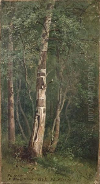 Wooded Landscape Oil Painting by Ivan Shishkin