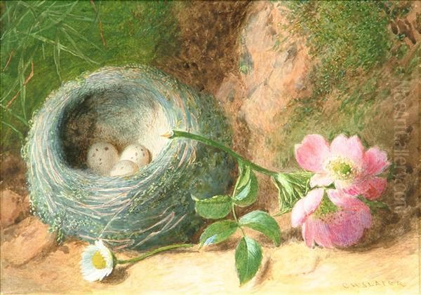 Still Lifes Of A Birds Nest On A Mossy Bank Oil Painting by Charles Henry Slater