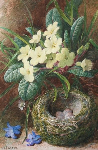 Primroses Oil Painting by Charles Henry Slater