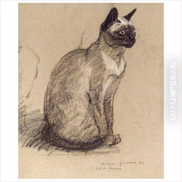 Etude De Chat Oil Painting by Theophile Alexandre Steinlen