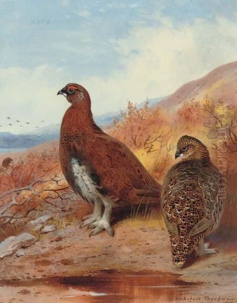 A Pair Of Red Grouse, In Moorland Oil Painting by Archibald Thorburn