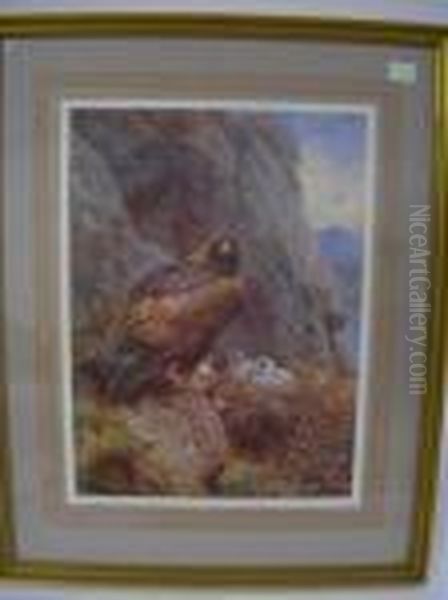 Goldeneagle Oil Painting by Archibald Thorburn