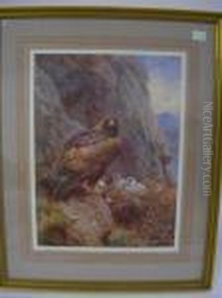 Golden Eagle Oil Painting by Archibald Thorburn