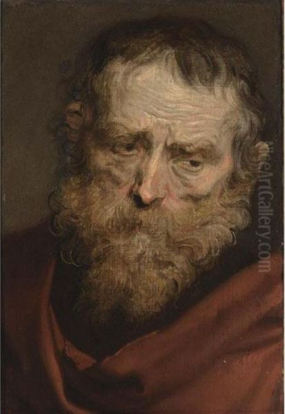 A Study Of A Bearded Man Oil Painting by Sir Anthony Van Dyck