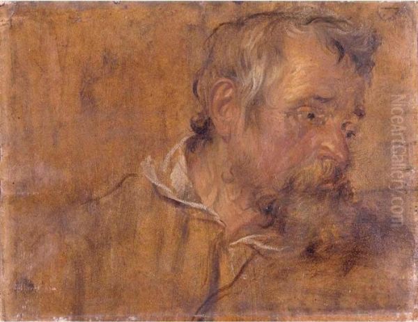 Profile Study Of A Bearded Old Man Oil Painting by Sir Anthony Van Dyck