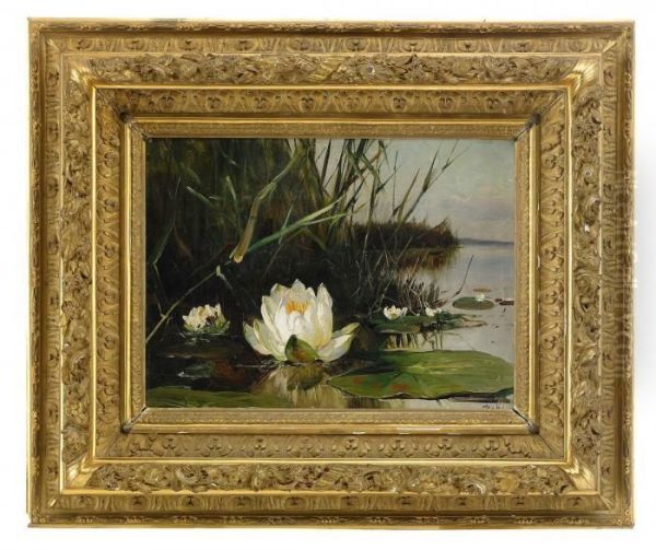 Waterlily Oil Painting by Iulii Iul'evich (Julius) Klever