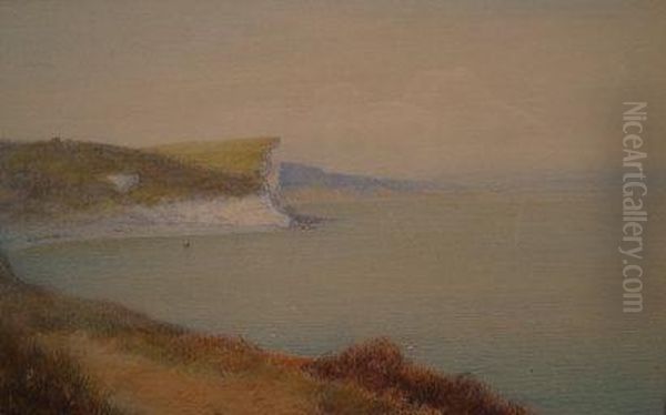 A Headland Footpath On The Devonshire Coast Oil Painting by John White