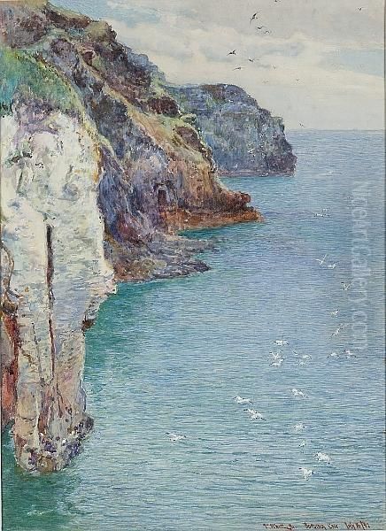 Bossiney Cove, Near Tintagel, Cornwall Oil Painting by John White