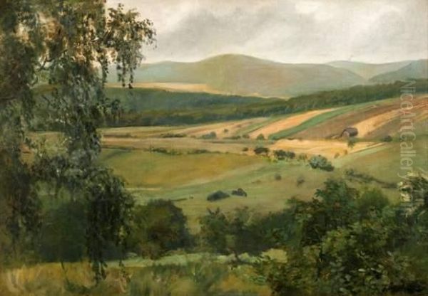 Paysage Oil Painting by Stanislaw Zukowski