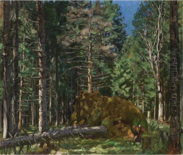 Pine Forest Oil Painting by Stanislaw Zukowski