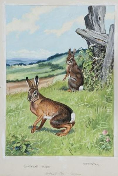 European Hare And Cottontail Rabbit Oil Painting by Jacob Bates Abbott