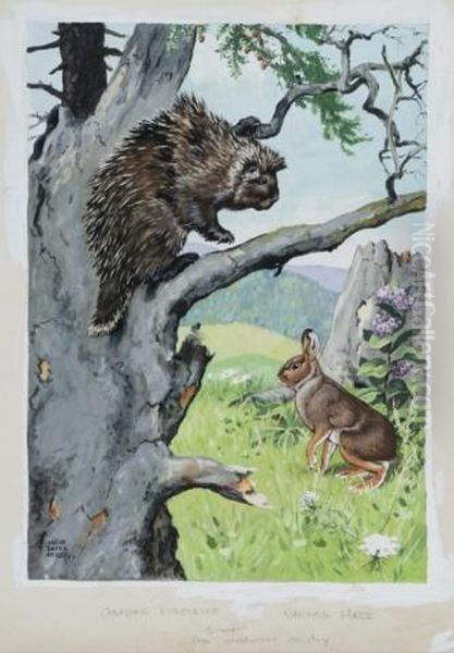 Canadian Porcupine And Hare Oil Painting by Jacob Bates Abbott