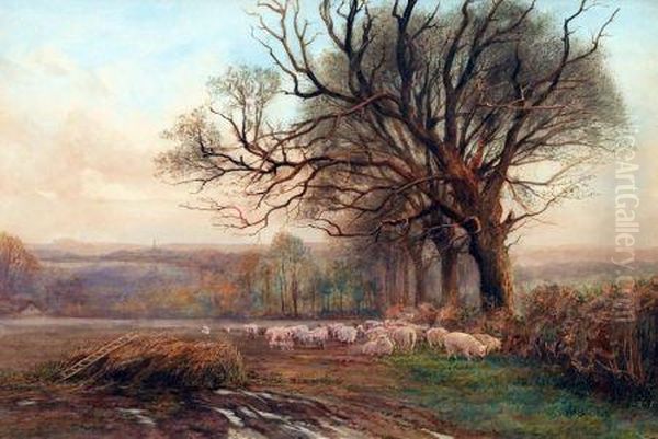 Sheep Grazing In A Country Landscape Oil Painting by Charles James Adams