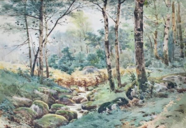 Le Ruisseau A L'oree De Bois by Auguste Allonge