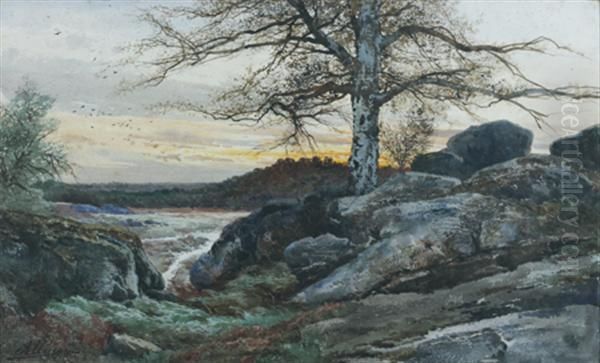 La Foret De Fontainebleau Oil Painting by Auguste Allonge