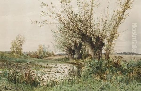 Une Mare Bordee D'arbres Et De Roseaux Oil Painting by Auguste Allonge