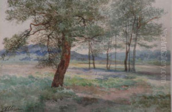 Arbres Dans La Prairie Oil Painting by Auguste Allonge