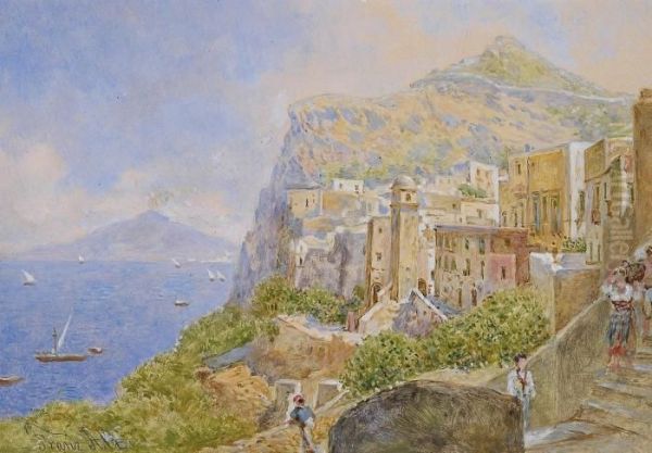 View Of Vesuvius As Seen From Capri Oil Painting by Franz Alt