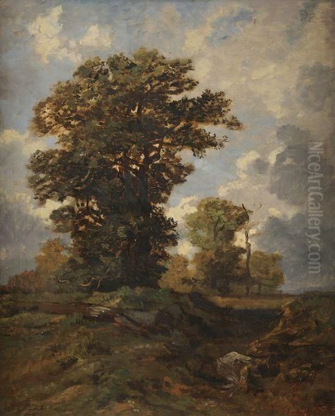 Les Chenes, Foret De Fontainebleau Oil Painting by Auguste-Paul-Charles Anastasi