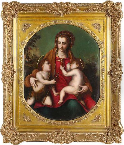 Madonna Met Kleine Sint Jan Oil Painting by Andrea Del Sarto