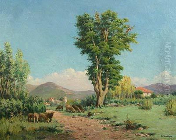 Paisaje Con Rebano. Oil Painting by Agusti Antiga Monner