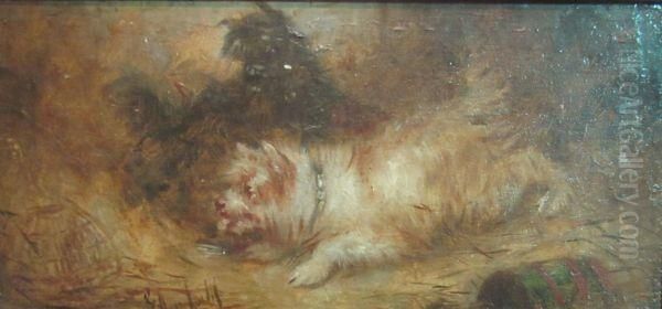 Study Of Two Terriers Oil Painting by George Armfield