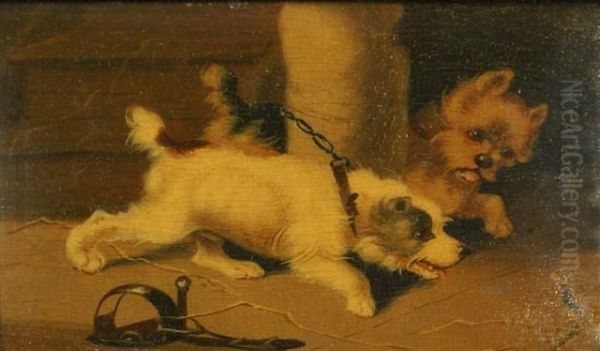 Terriers Ratting In A Barn Oil Painting by George Armfield