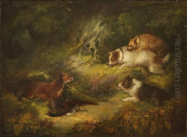 Terriers Surprising A Fox With Its Kill Of A Cock Pheasant Oil Painting by George Armfield