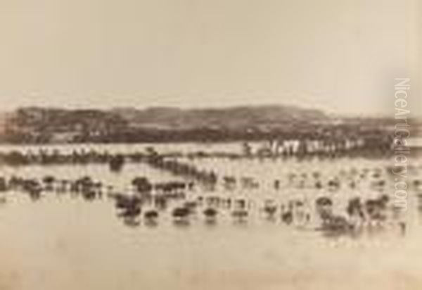 avignon, Inondations No. 82 Oil Painting by Edouard Denis Baldus