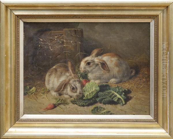 Study Of Rabbits Oil Painting by Alfred R. Barber