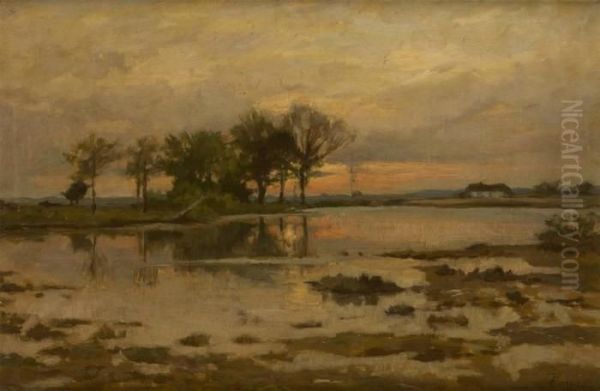 Marais En Campine Oil Painting by Theodore Baron